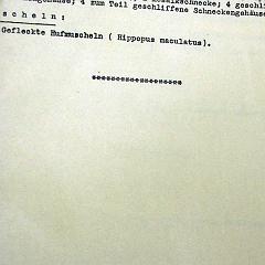 bu-sio00-0h katalog sammlung im obersteg